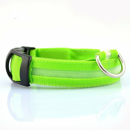 🐾 LED Glow Dog Collar 2-Pack – Safe Nights, Bright Walks 🌙 - Image 7
