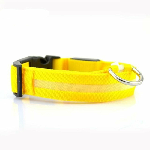 🐾 LED Glow Dog Collar 2-Pack – Safe Nights, Bright Walks 🌙 - Image 2