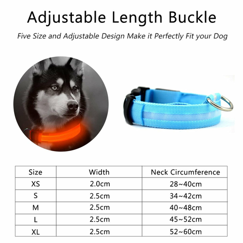 🐾 LED Glow Dog Collar 2-Pack – Safe Nights, Bright Walks 🌙 - Image 4