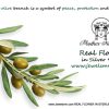 Olive branch with green olives, symbolizing peace and fertility.